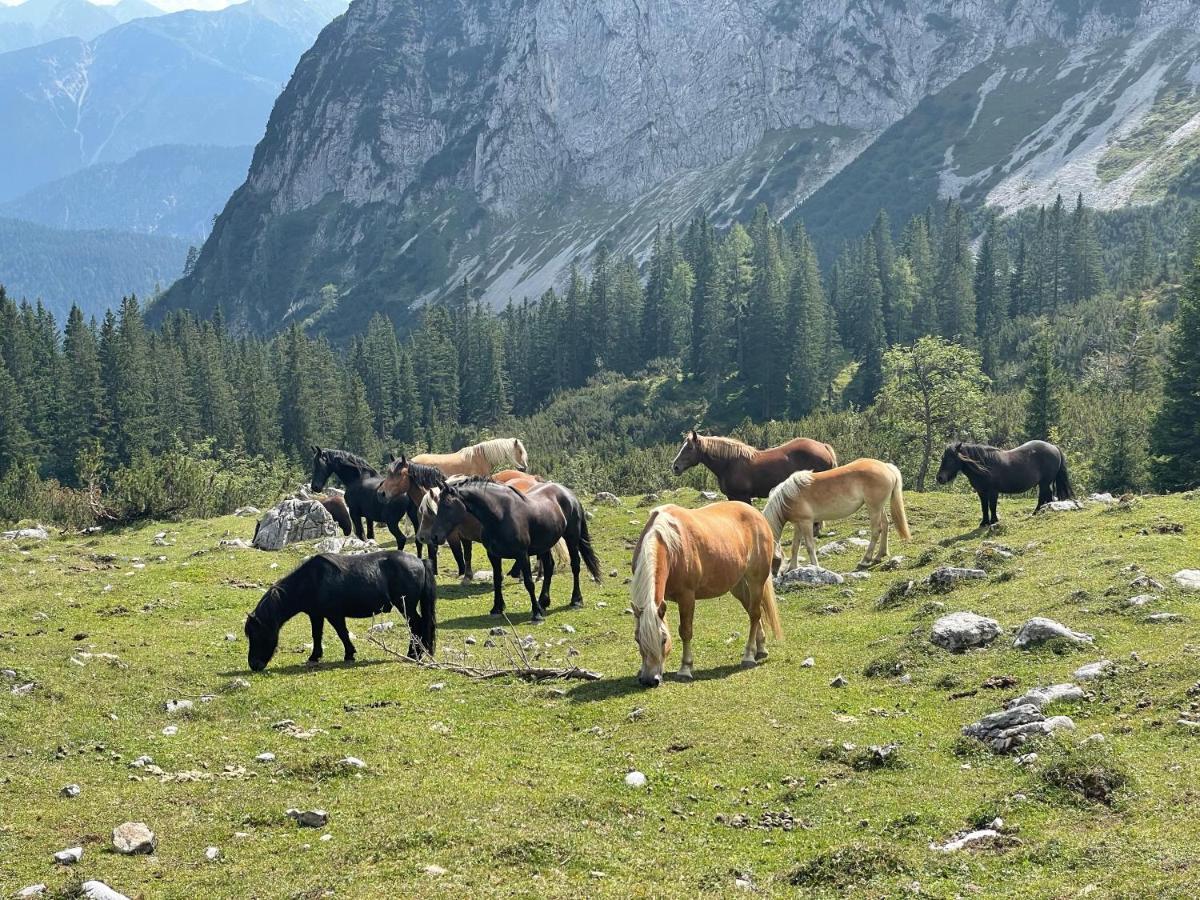 Europarcs Leutasch-Seefeld Hotel Kültér fotó